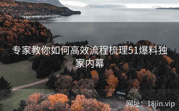 专家教你如何高效流程梳理51爆料独家内幕
