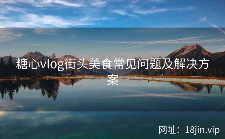 糖心vlog街头美食常见问题及解决方案