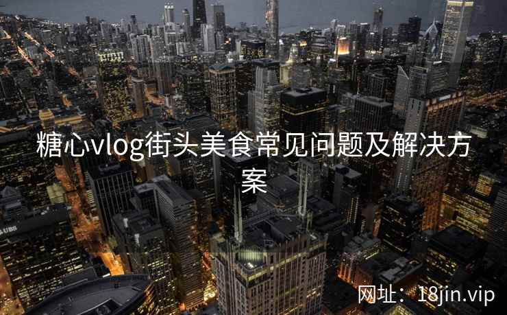 糖心vlog街头美食常见问题及解决方案