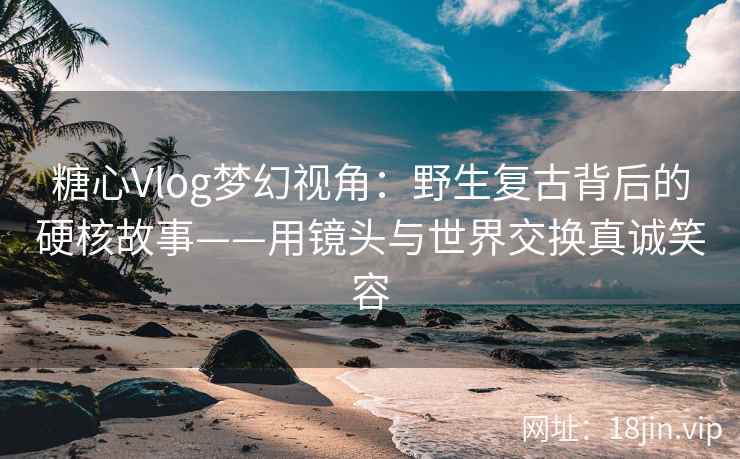 糖心Vlog梦幻视角：野生复古背后的硬核故事——用镜头与世界交换真诚笑容