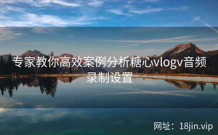 专家教你高效案例分析糖心vlogv音频录制设置