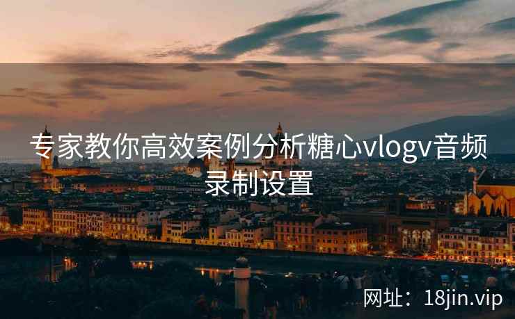 专家教你高效案例分析糖心vlogv音频录制设置
