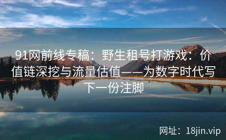 91网前线专稿：野生租号打游戏：价值链深挖与流量估值——为数字时代写下一份注脚