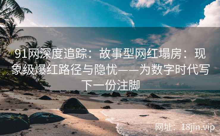 91网深度追踪：故事型网红塌房：现象级爆红路径与隐忧——为数字时代写下一份注脚