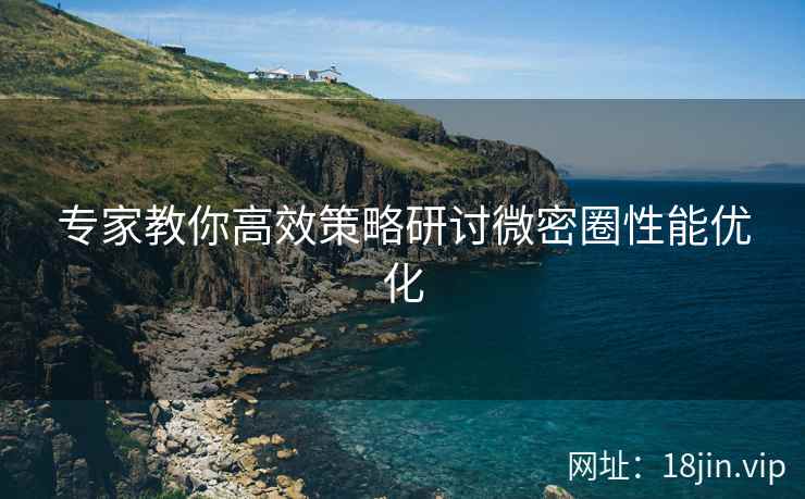 专家教你高效策略研讨微密圈性能优化
