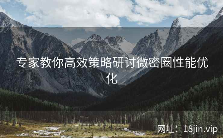 专家教你高效策略研讨微密圈性能优化
