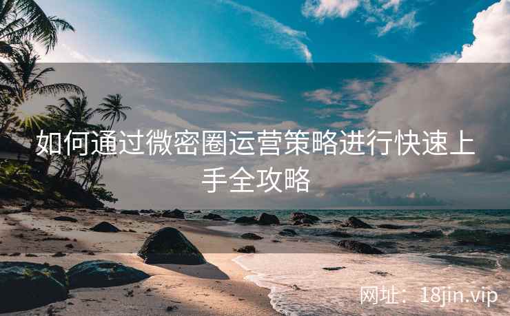 如何通过微密圈运营策略进行快速上手全攻略