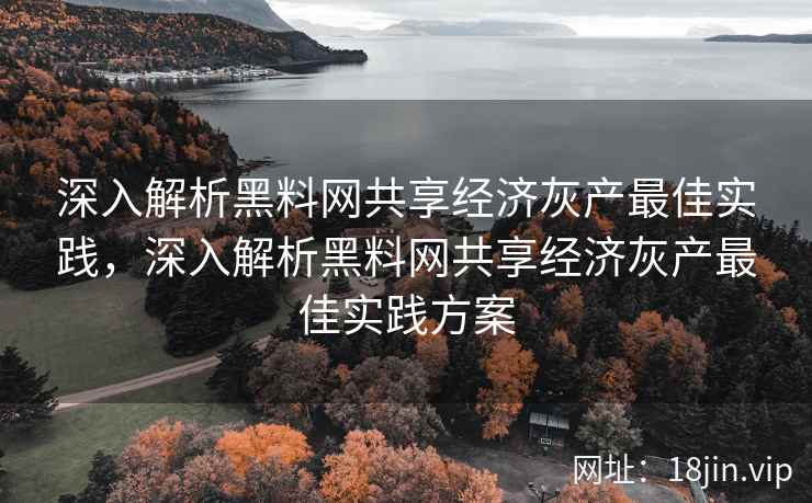 深入解析黑料网共享经济灰产最佳实践，深入解析黑料网共享经济灰产最佳实践方案